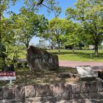大中公園(周辺)